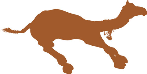 people and camel silhouette