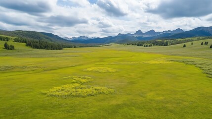 Obraz premium Vast Green Meadow Landscape with Yellow Wildflowers and Distant Mountains Under Partly Cloudy Sky