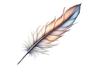 A Single Plume Watercolor-esque Avian Feather Illustration for World Poetry Day