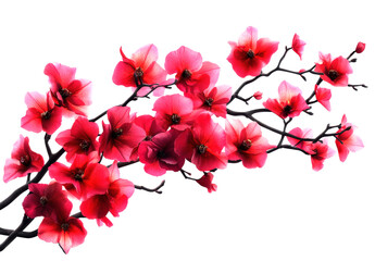 A stunning arrangement of vibrant pink flowers intricately intertwined with delicate branches, showcasing nature's beauty against a clean, white background.