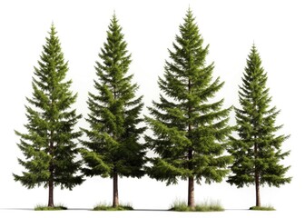 Obraz premium Isolated silhouette of four pine trees, a high-resolution 3D rendered botanical image.