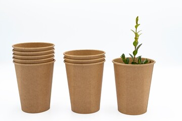 Disposable empty cardboard cups with a boxwood sprig on a white background