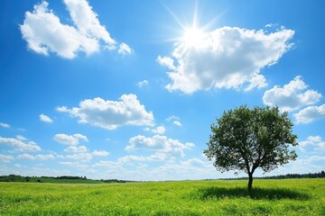 Obraz premium Bright sunny day over a green meadow with a solitary tree and scattered clouds in a clear blue sky. Generative AI