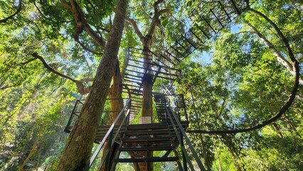 Lush Green Forest with Spiral Staircase to Treehouse in Nature