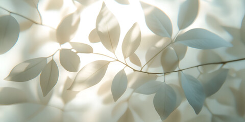 Leaf Shadow Play: Delicate, translucent leaves cast ethereal shadows on a sheer fabric, creating a mesmerizing interplay of light and shadow.