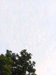sky and clouds