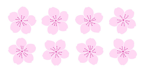 Set of pink cherry flowers isolated on white