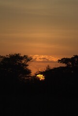 Unos atardeceres espectaculares adornados con el vuelo de las garzas y la cantidad de arboles.