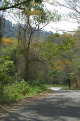 Bosques y grandes espacios en el Estado Portuguesa.
Un estado llanero que cuenta con inmensas llanuras y espacios llenos de bosques y areas para la cria del ganado.