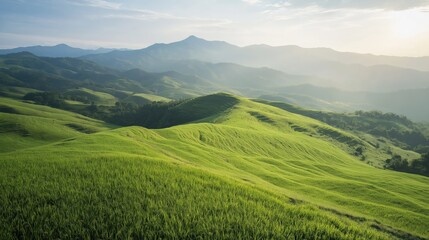Naklejka premium Sunrise Over Lush Green Hills and Distant Mountains