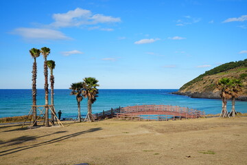 fine seascape with seaside bridge