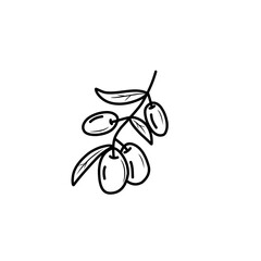 Olive icon
