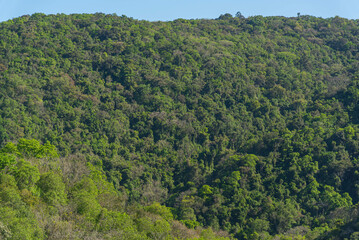 Atlantic forest reserve in itaara rs brazil