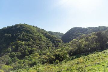 Atlantic forest reserve in itaara rs brazil