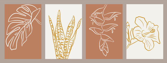 Botanical wall art featuring mostera, dracaena trifasciata, heliconia rostrata and hibiscus. Earthy coloured paintings.