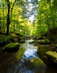 Obraz premium forest landscape with a river 