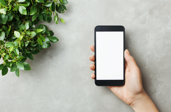 Mockup image of hands holding and showing white mobile phone with blank black screen with colorful dry flowers and wooden wall background in cafe