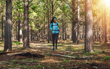 Trail, running and woman in forest with fitness, energy or wellness on morning workout. Nature, trees and girl in woods for health commitment, outdoor exercise or wilderness marathon training in park