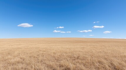 Obraz premium Dry Grass Field Under Blue Sky