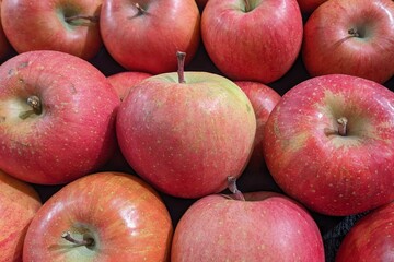 山積みにされたリンゴ
