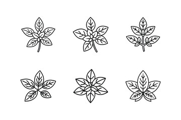 oregano icon line art vector illustration