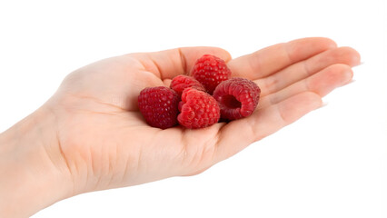 A handful of ripe, red raspberries, a sweet summer berry, held in a hand