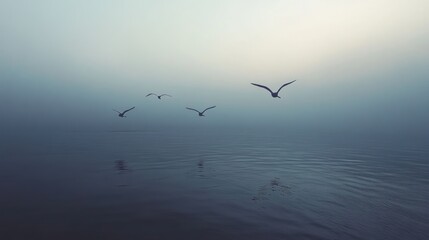 Fototapeta premium Birds flying over foggy sea at dawn; peaceful nature scene