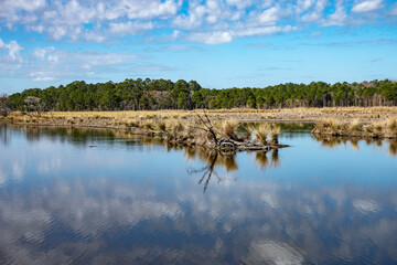 reflection on the water in Donnelley WMA