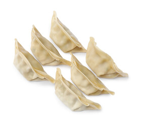 Fresh gyoza dumplings isolated on white, top view