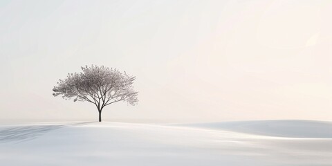 A serene and minimalist scene against a pure white background, Subtle geometric shapes integrated, Modern minimalist style