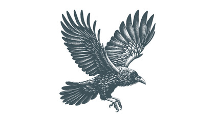 crow vector, raven vector