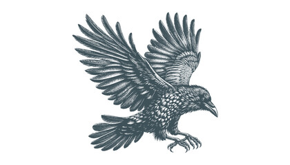 crow vector, raven vector