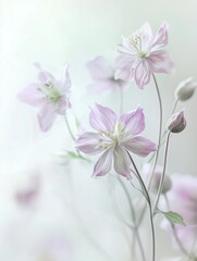 Fototapeta premium A romantic art piece background with a soft texture, as if painted with watercolor, with pale pastel purple and green flowers and leaves.