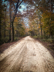 Obraz premium dirt road in rural South Carolina