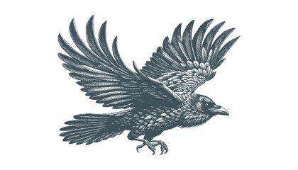 crow vector, raven vector