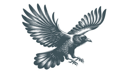 crow vector, raven vector