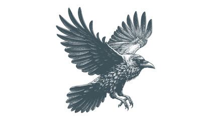 crow vector, raven vector