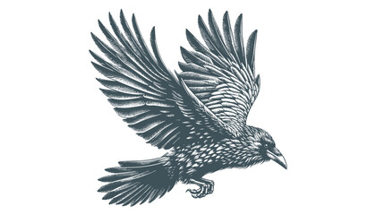 crow vector, raven vector