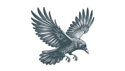 crow vector, raven vector