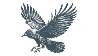 crow vector, raven vector