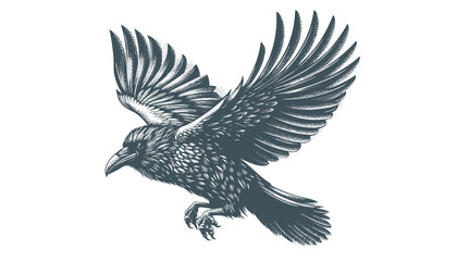 crow vector, raven vector