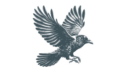 crow vector, raven vector