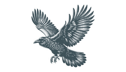 crow vector, raven vector