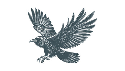 crow vector, raven vector