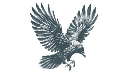 crow vector, raven vector