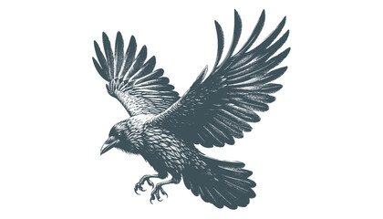 crow vector, raven vector