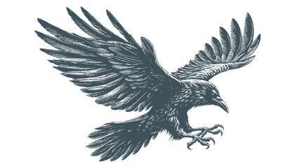crow vector, raven vector