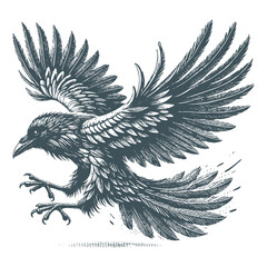crow vector, raven vector