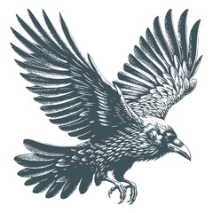 crow vector, raven vector