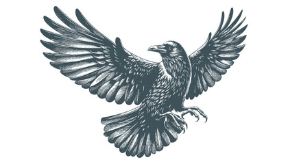 crow vector, raven vector